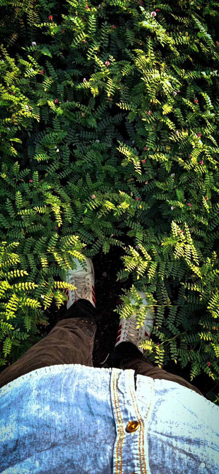 Nature