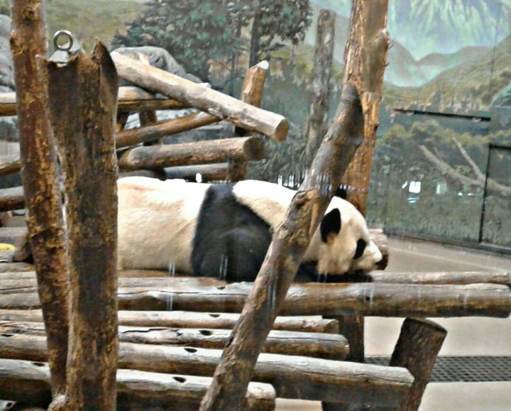 Feeling lazy today