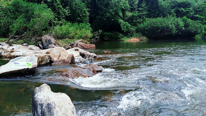 river payaswini