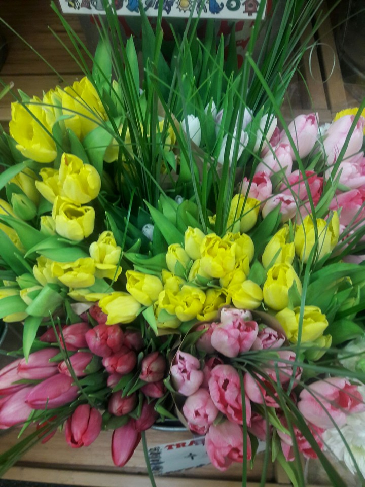 flowers
