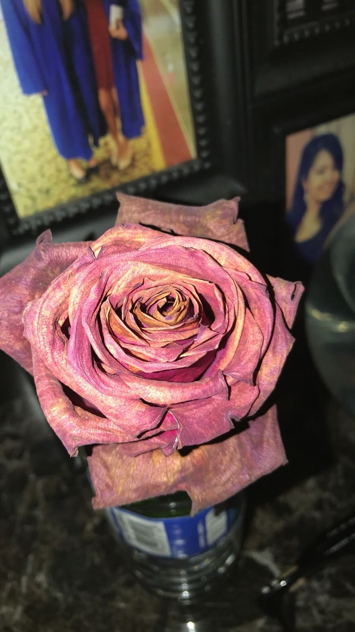 rose