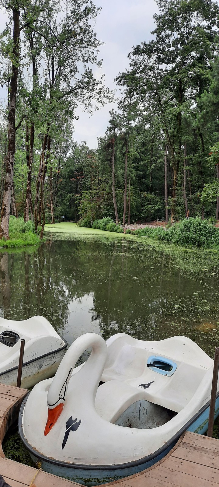 boat in saravan lake