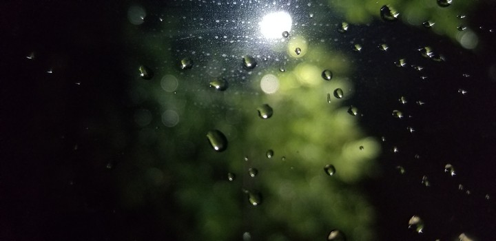 Rain