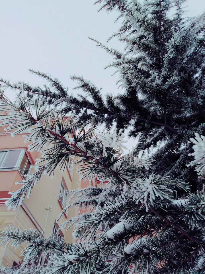 snow