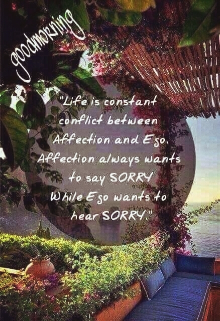 GOOD MORNING GUYS!!!!