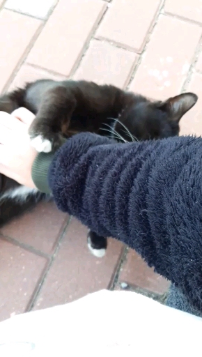 오래오