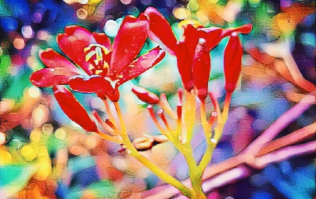 flowers