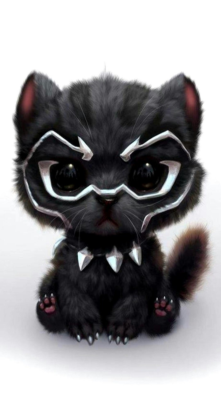 Black Kitty