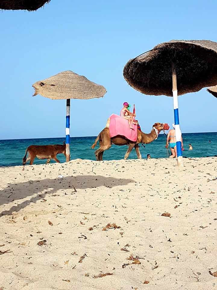 djerba