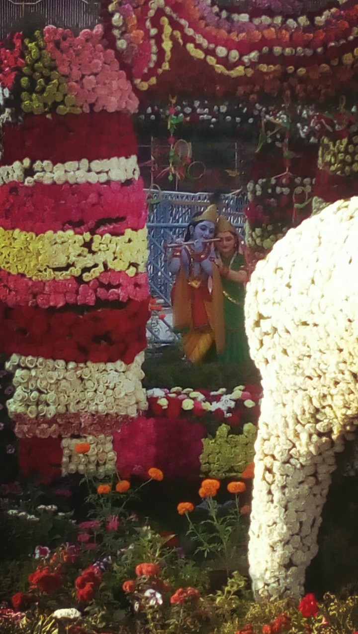 radha krishna