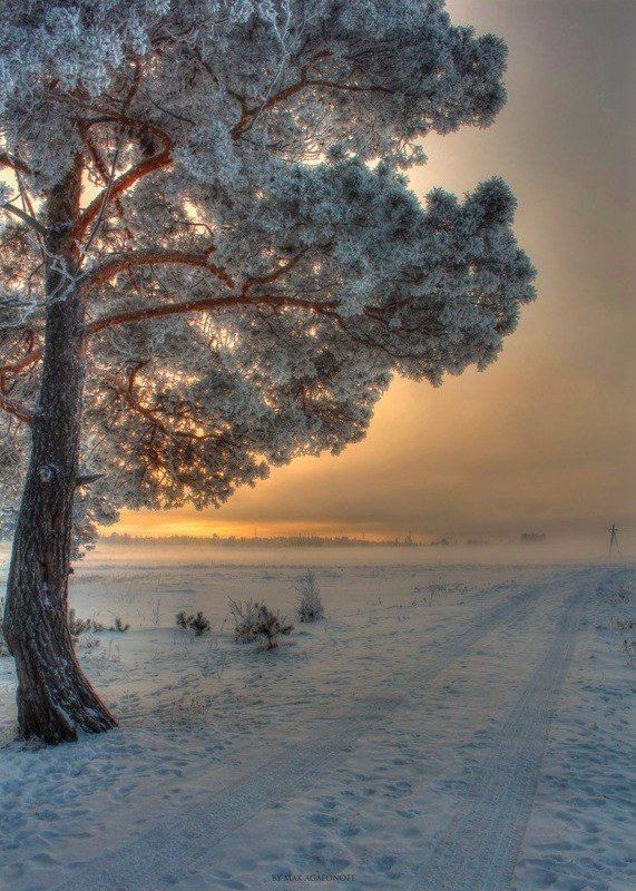 winter