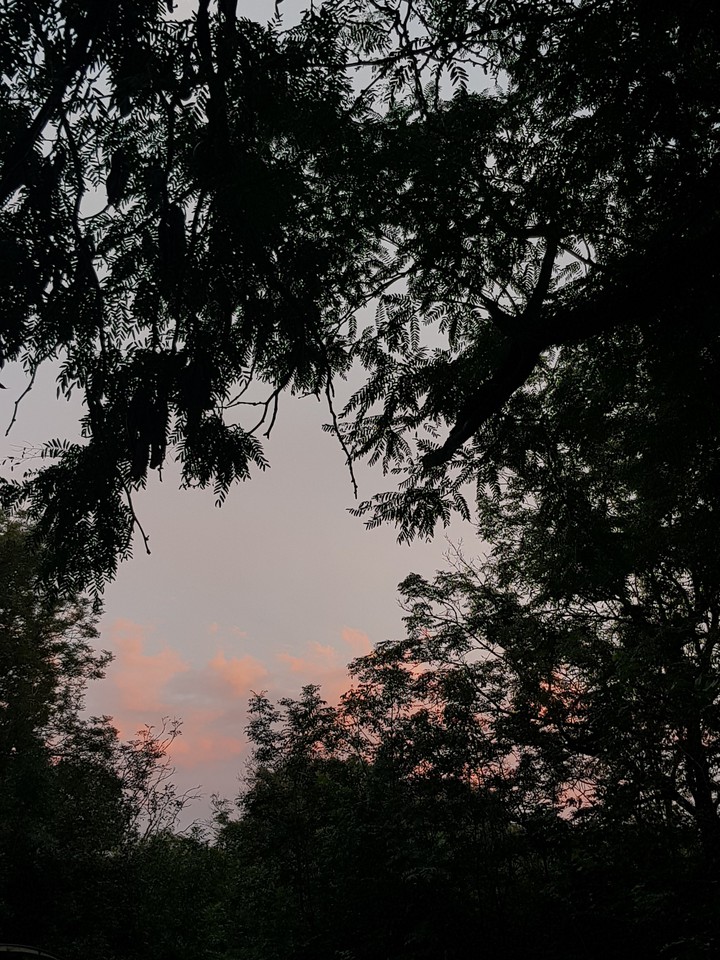 sky lover