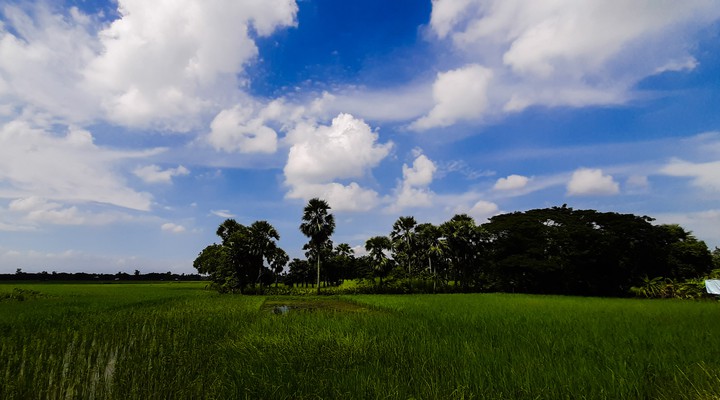 my village