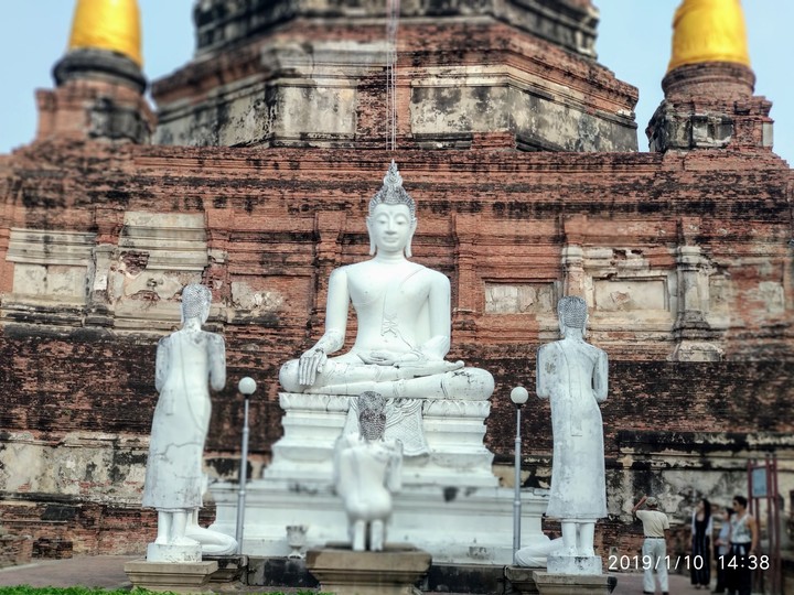 The Buddha