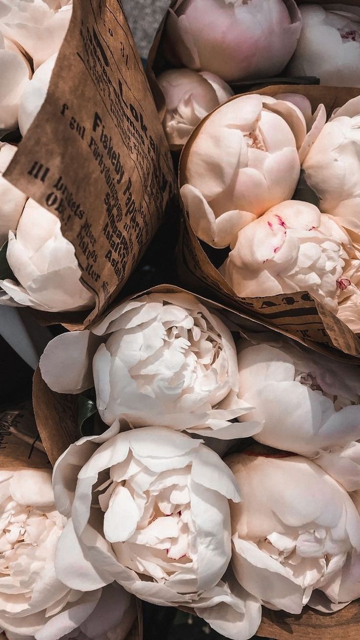 Peonies