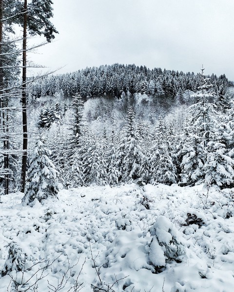 winter