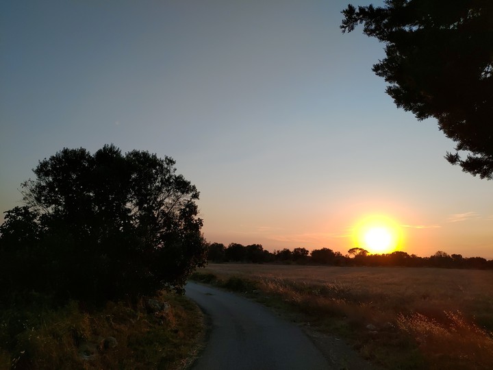 Sun in the country