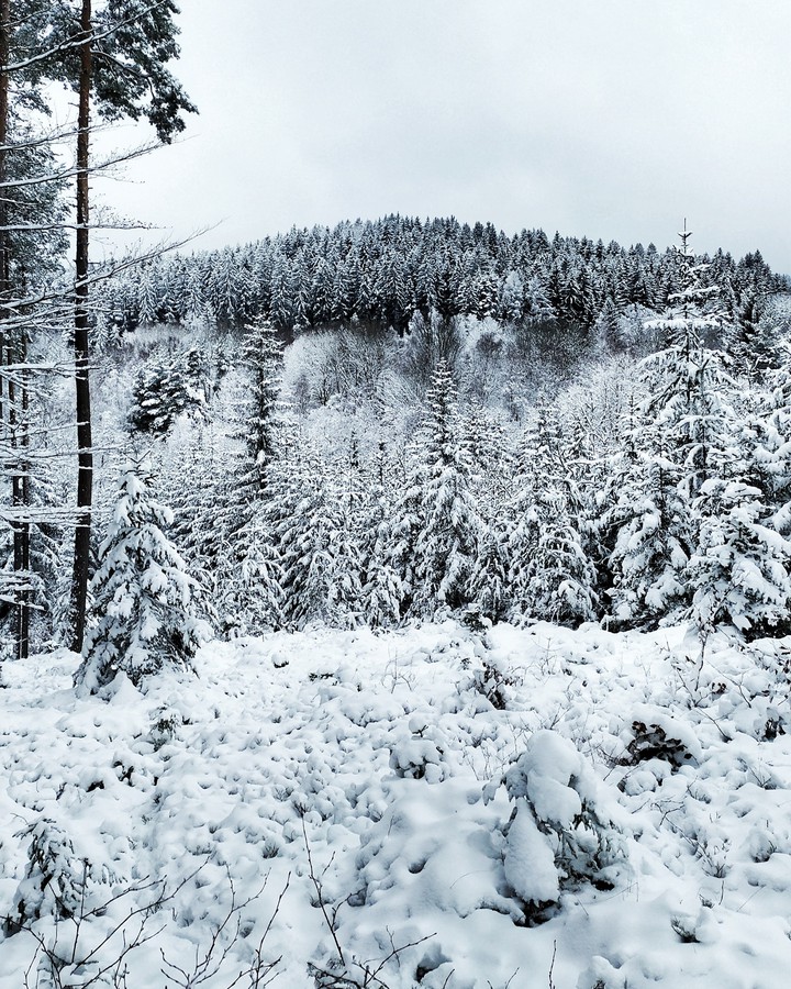 winter