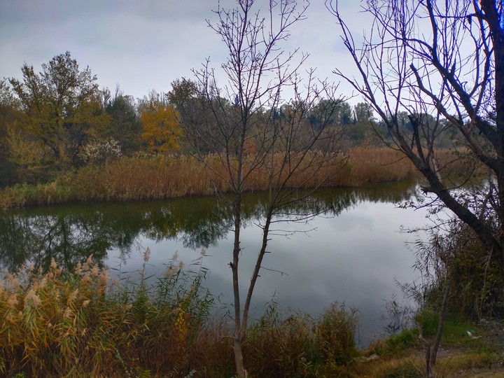 fall