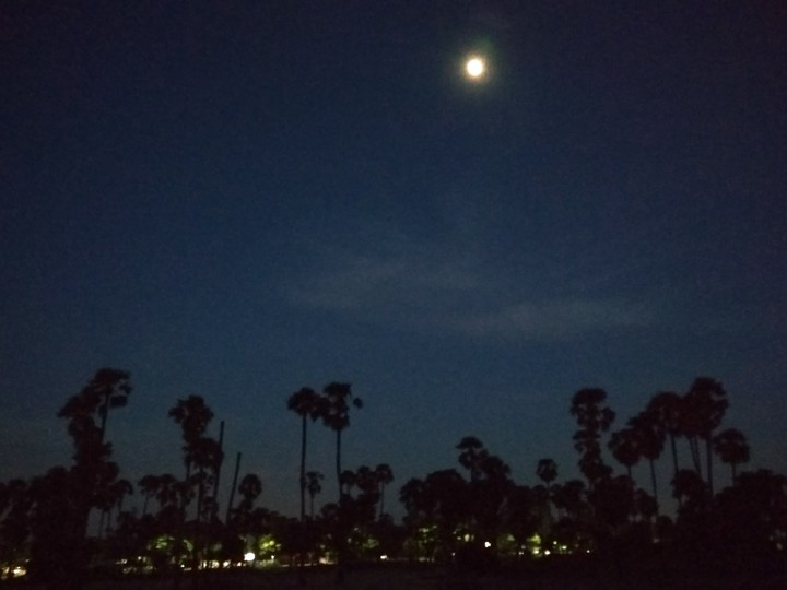 Night sky