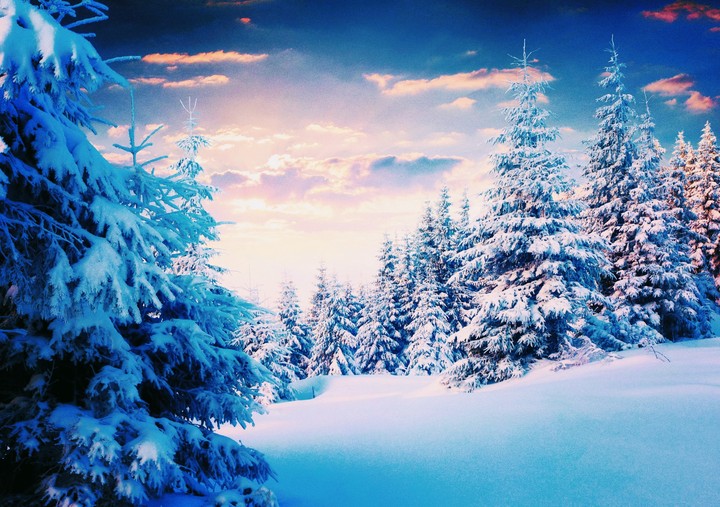 snow and snow