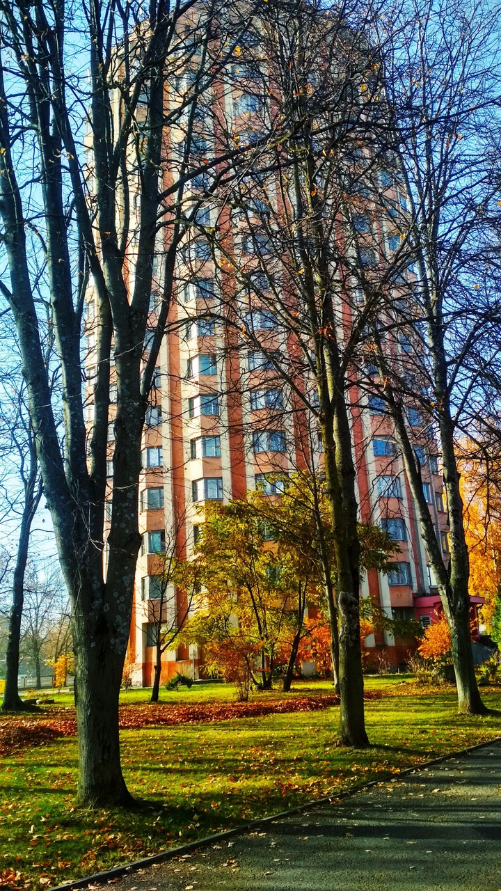 autumn