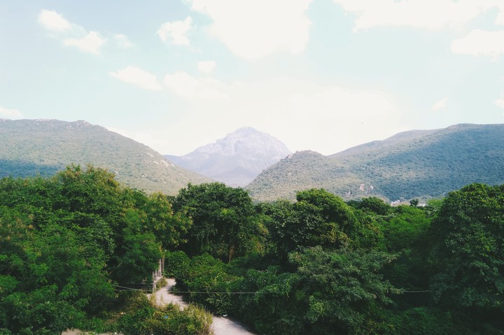 Nature