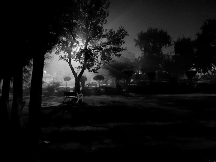 Monochrome foggy evening