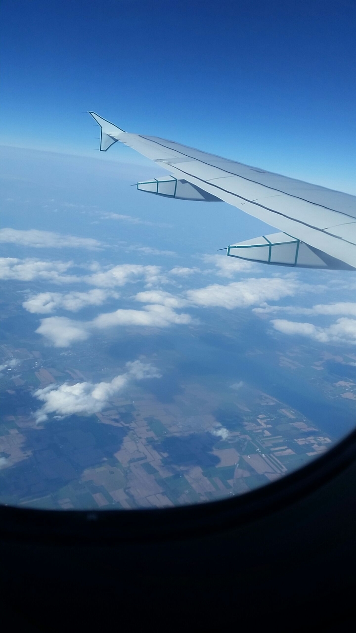 take flight