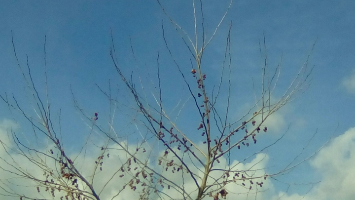 Spring is coming!