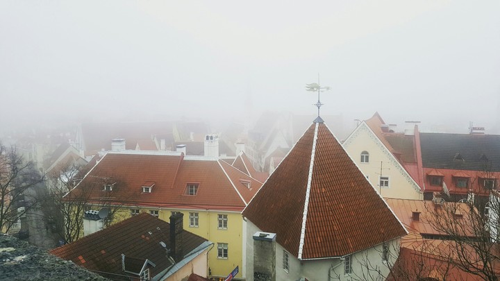tallin