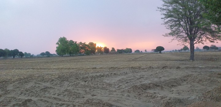 my farmer pictures