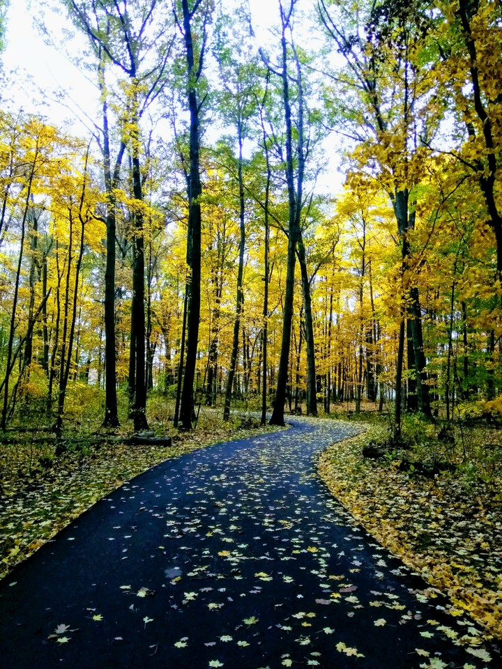 autumn trail