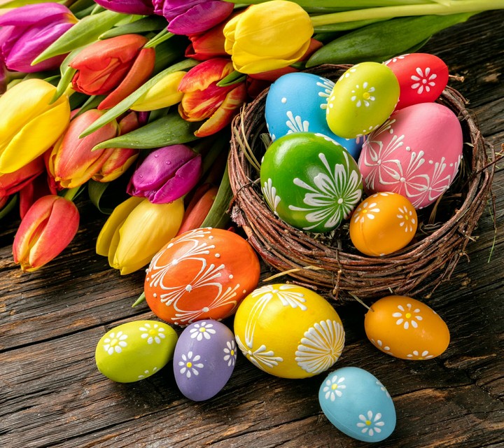 egg