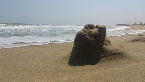 sea