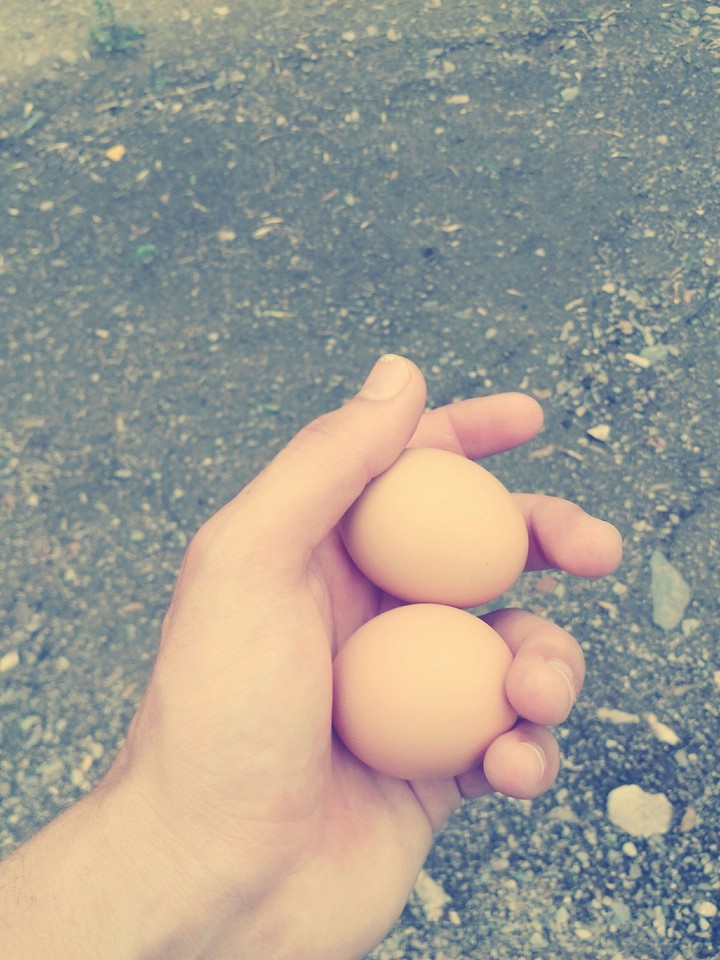 Life on the hand