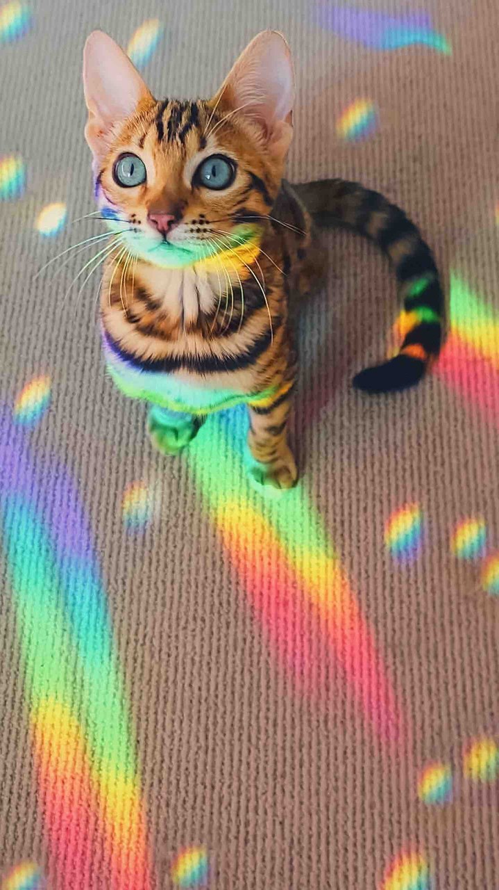 ❤❤❤