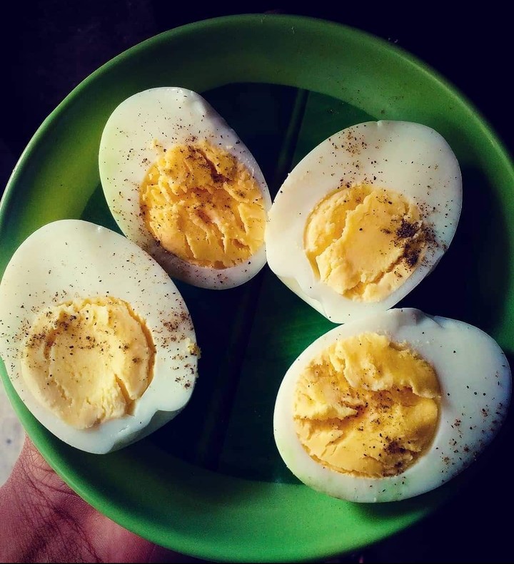 egg
