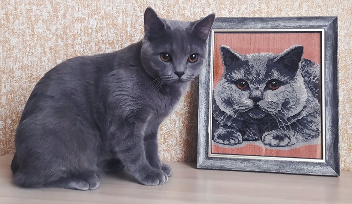 cute