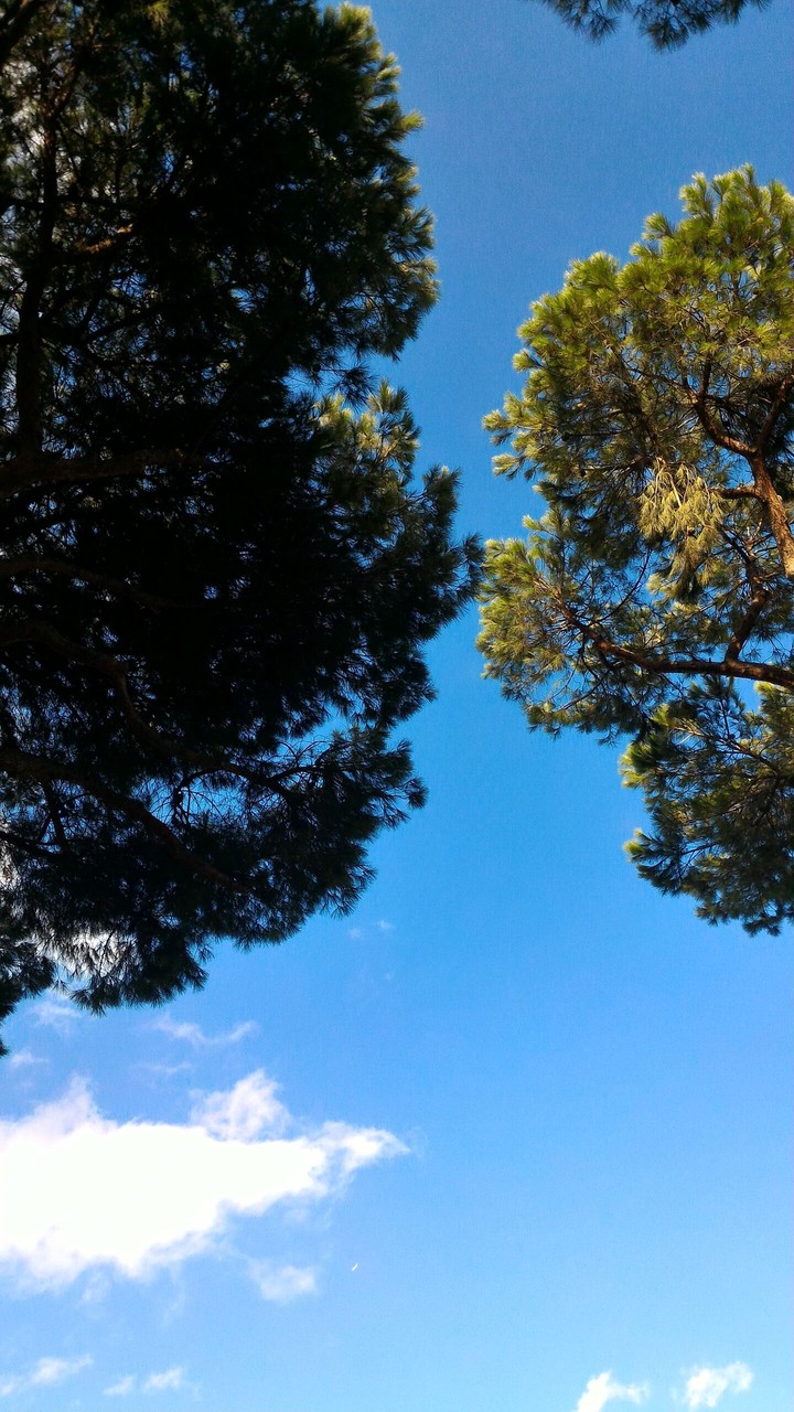 Photo taken by me