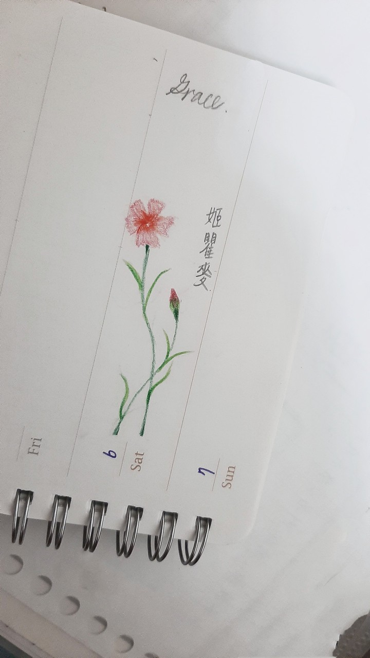 hand drawing