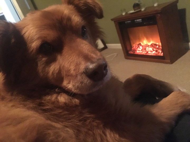 Sleepy time with my buddy