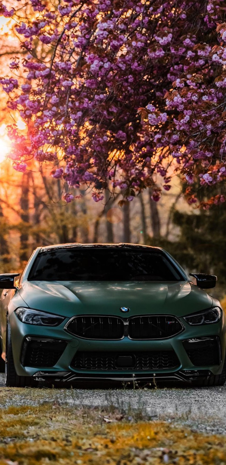 BMW m8