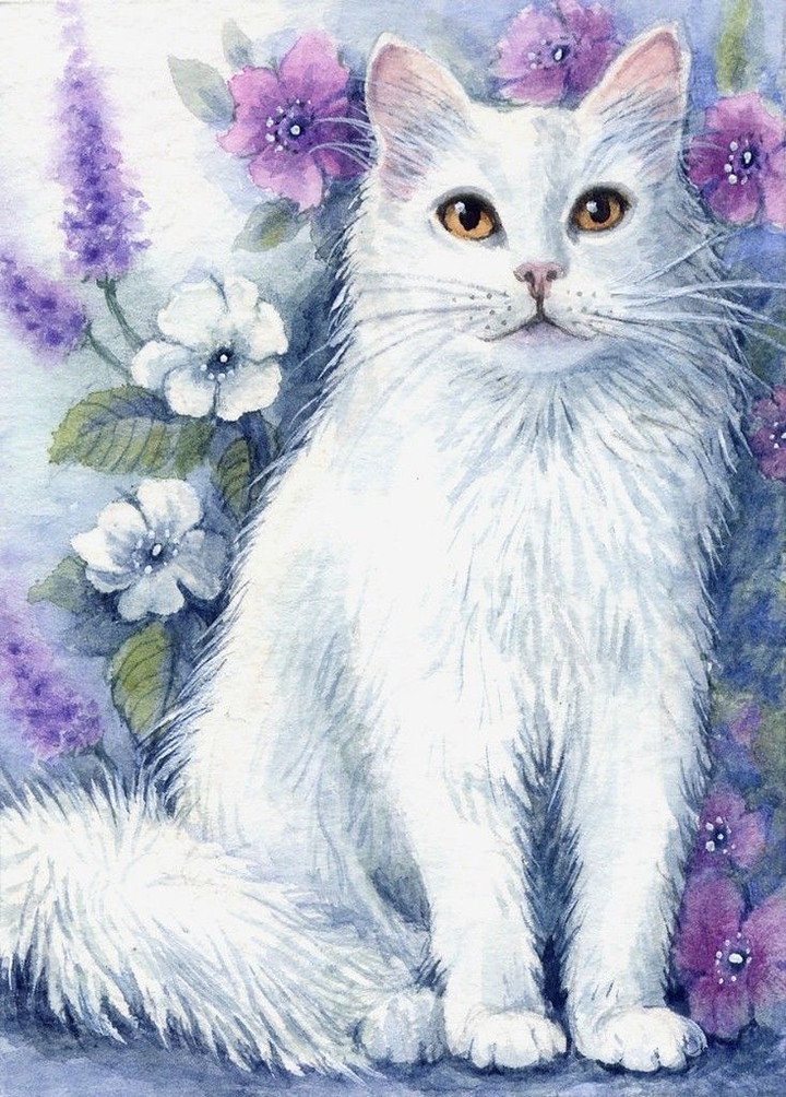 Flower's and cat.