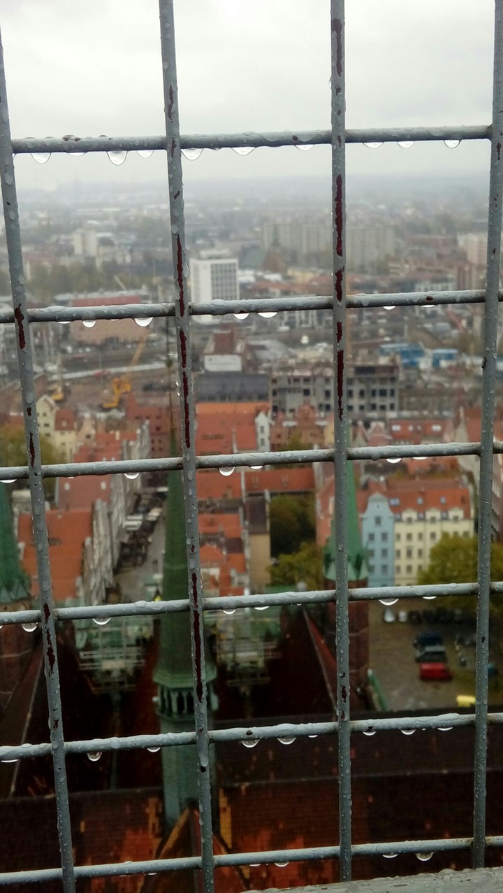 Tower kraków