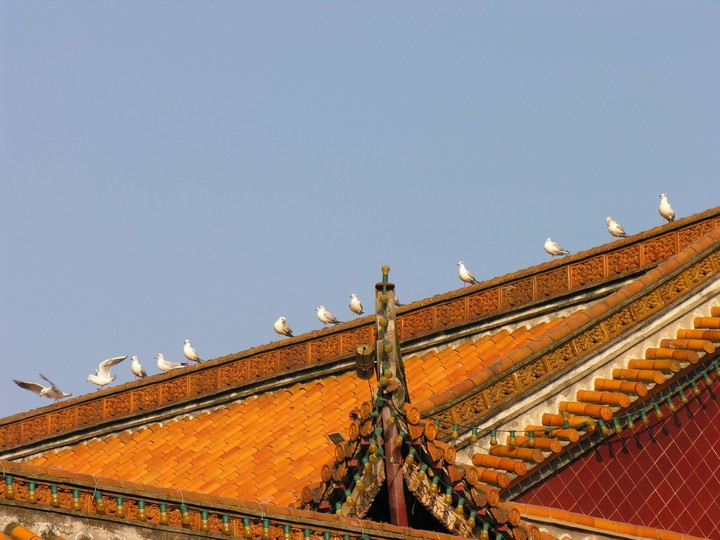 건축이미지