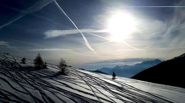 Scie