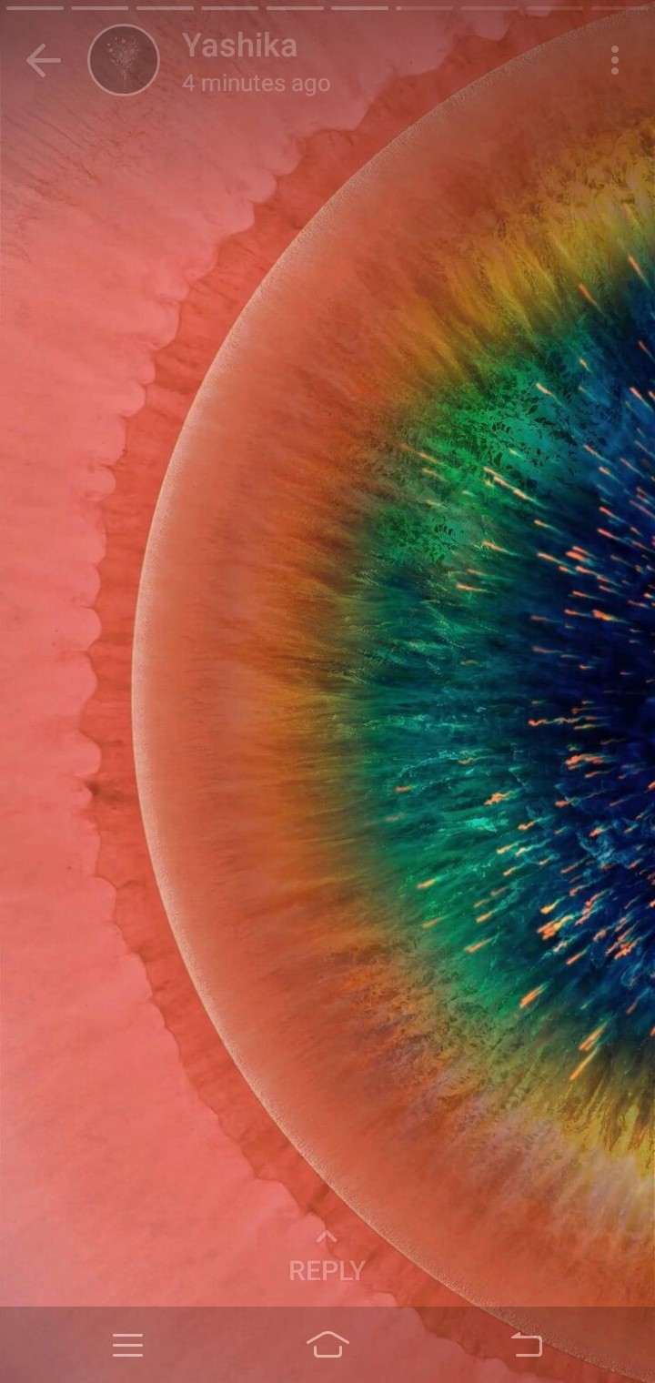 rain bow