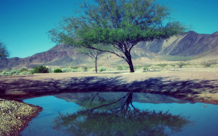 Nature