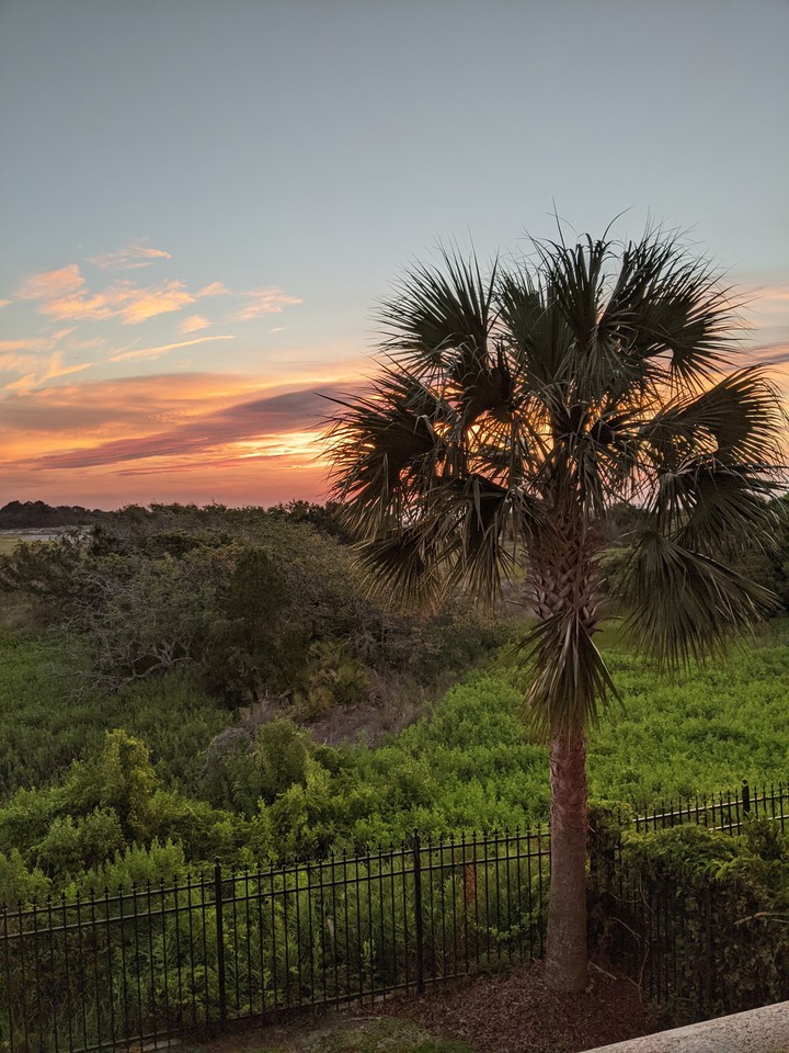 Sunset and palm